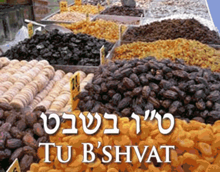 Tu B'Shevat